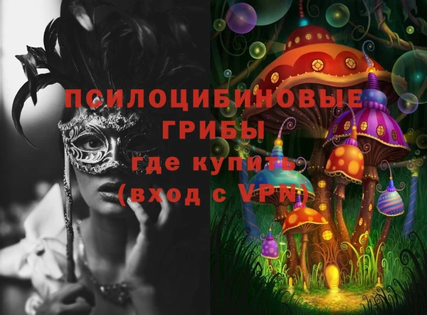 mdpv Елизово