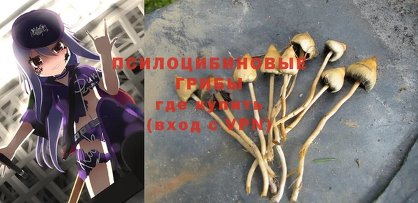 герыч Ельня