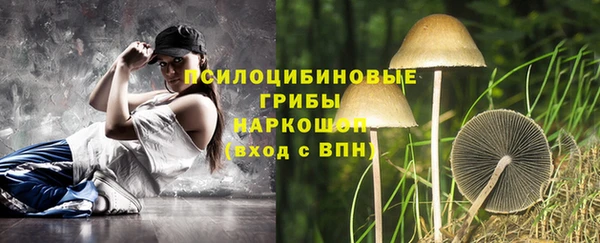 герыч Ельня