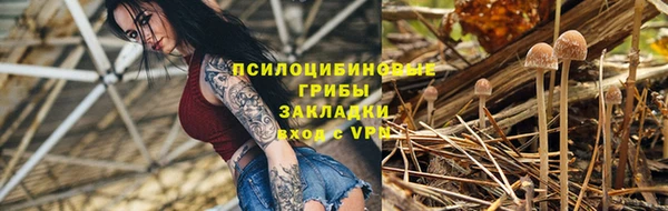 mdpv Елизово