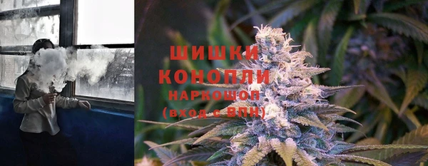 mdpv Елизово
