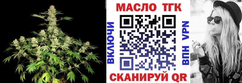 Купить  Сегежа  ТГК концентрат 